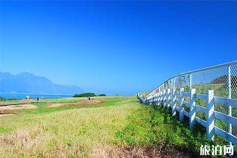 花蓮賞鯨最佳時間 2019花蓮賞鯨在哪里