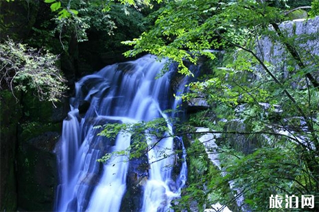 木王森林公園門票價格 附五一優惠活動