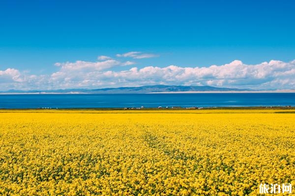 幾月去青海湖旅游最好