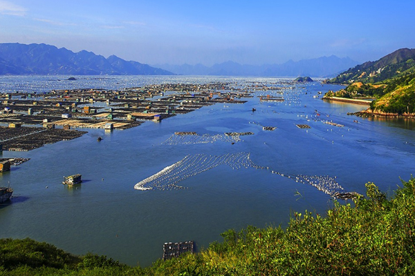 東極島風景區 東極島最佳旅游時間 東極島自由行攻略