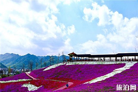 義烏后宅花間樂園門票信息 附芝櫻花花期