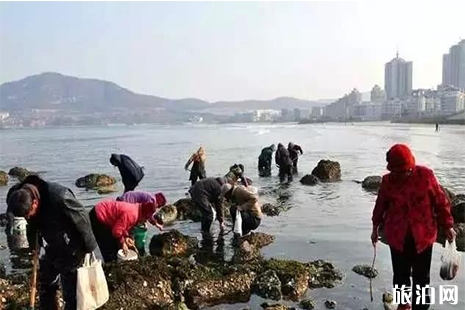 山東威海哪里可以趕海找海鮮