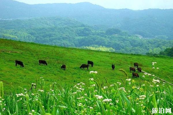 河北避暑的好地方有哪些