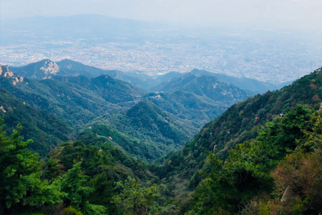 去泰山看日出住哪里比較好