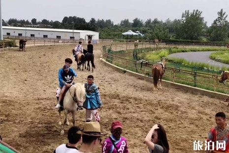 2019中國（合肥）非物質文化遺產園高考生旅游優惠嗎+游玩攻略