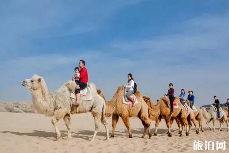 2019高考生旅游優惠寧夏黃沙古渡景區門票優惠信息+游玩攻略