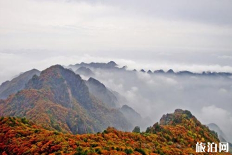 安徽憑高考準考證免費景點 2019宜興周邊高考準考證免費景點+時間