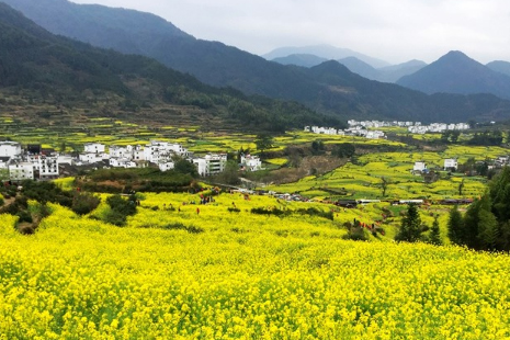 2019婺源江嶺景區(qū)門票價(jià)格+注意事項(xiàng)