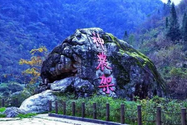 神農架和武功山哪個更好玩