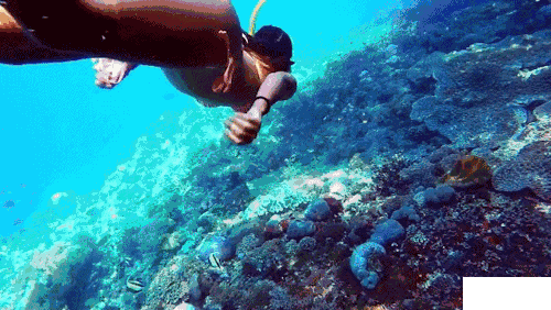 海南潛水哪里好