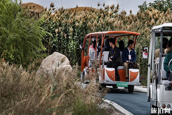 張掖濕地公園觀光車+自行車收費(fèi)