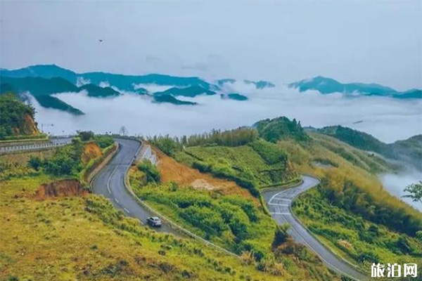 寧波四明山盤山公路是哪一條路