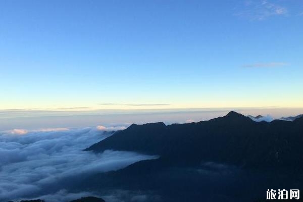 梵凈山游記800字 梵凈山旅游游記作文