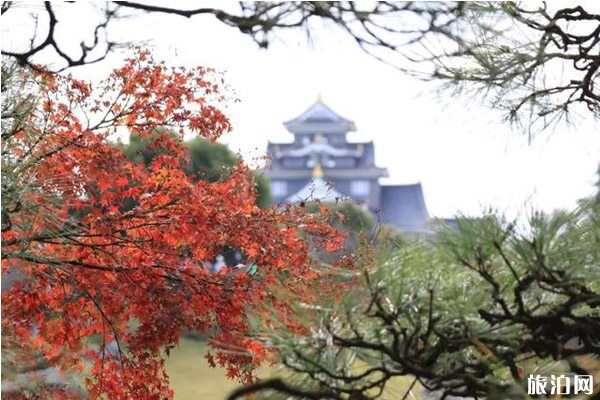 2019日本楓葉預(yù)測(cè)+地點(diǎn)+交通+介紹