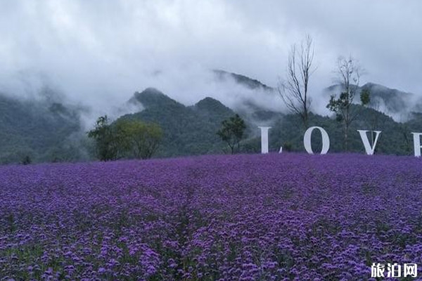 日本北海道節(jié)日有哪些+最佳旅游季節(jié)