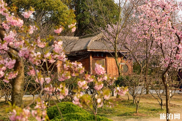 無錫賞花的地方有哪些+賞花季節