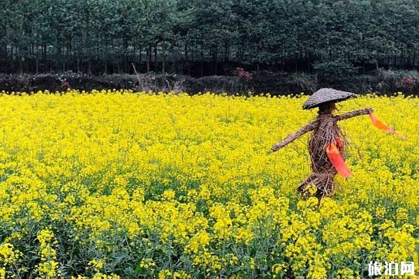 婺源秋季必去的景點推薦