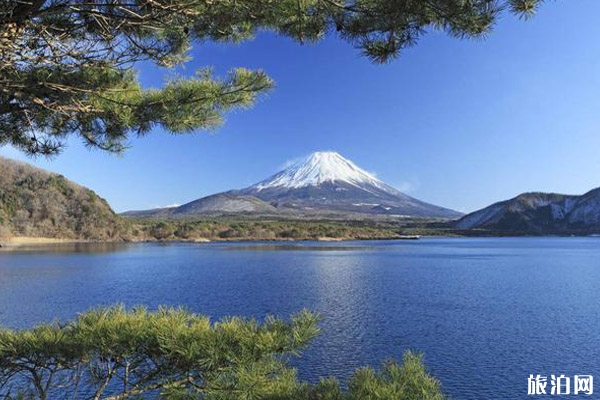 東京周邊看紅葉的地方推薦