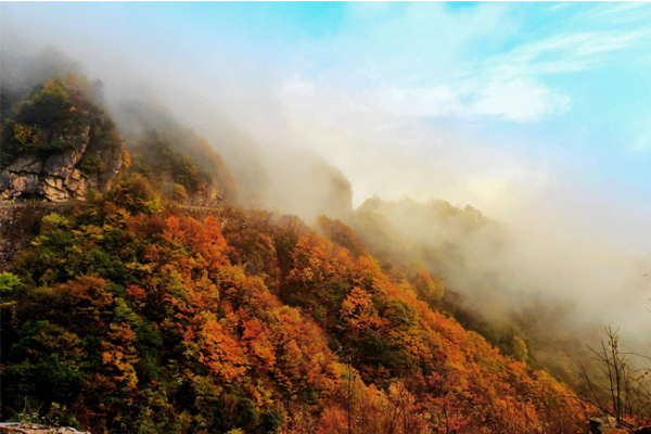 成都自駕游光霧山路況怎么樣 光霧山景區內部交通