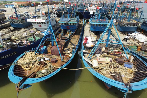 青島開海時間2019+海鮮購買攻略