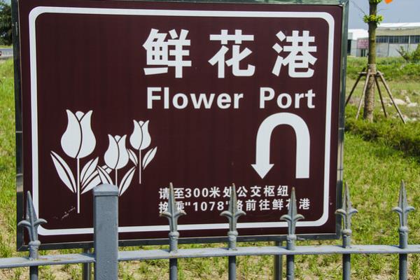 上海鮮花港和上海濱海森林公園游玩攻略