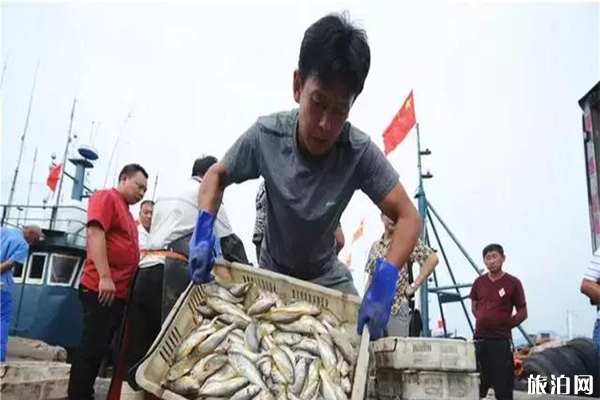 青島開海去哪買海鮮