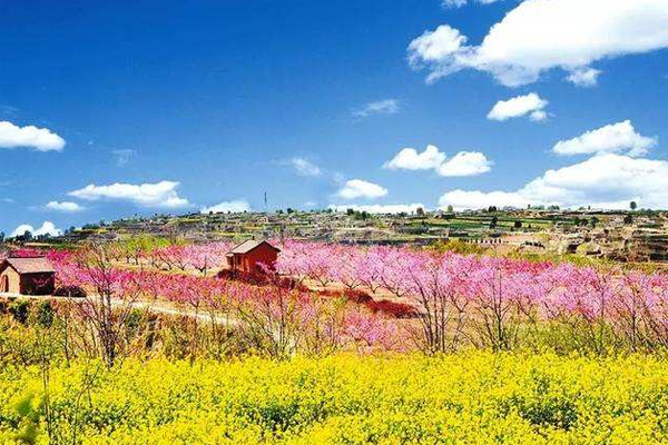 2019年成都九月賞花地點推薦