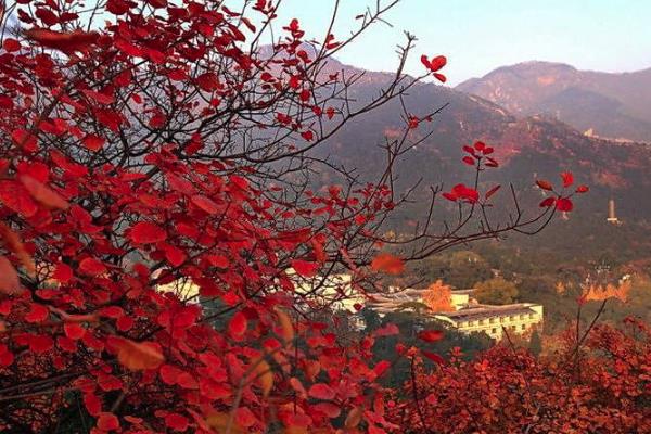 2019北京坡峰嶺紅葉節(jié)一般幾號到幾號+票價+交通