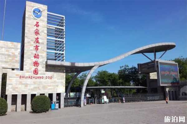 石家莊動物園大熊貓館的熊貓叫什么名字 有幾只熊貓+新館志愿者招募