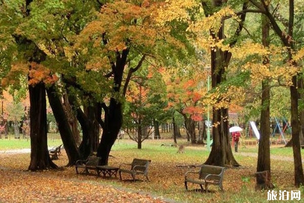 北海道紅葉時(shí)間2019+觀(guān)賞地點(diǎn)推薦