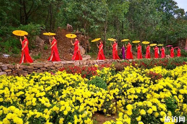 2019秦王湖菊花節活動攻略