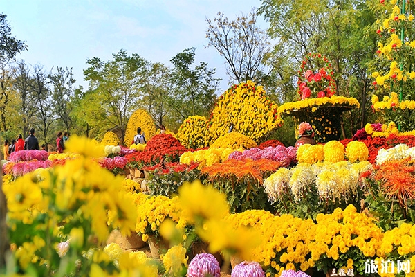 2019開封菊花展10月17日開幕 持續時間+活動內容+菊花門票