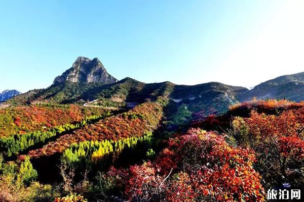 2019荊紫仙山門票免費時間 秋天荊紫仙山景區好玩嗎