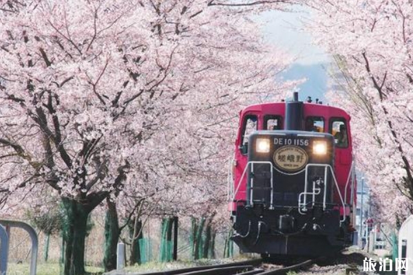 京都嵐山小火車開放時間+怎么去+發車時間