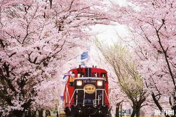 2019京都嵐山小火車購票攻略+官網鏈接