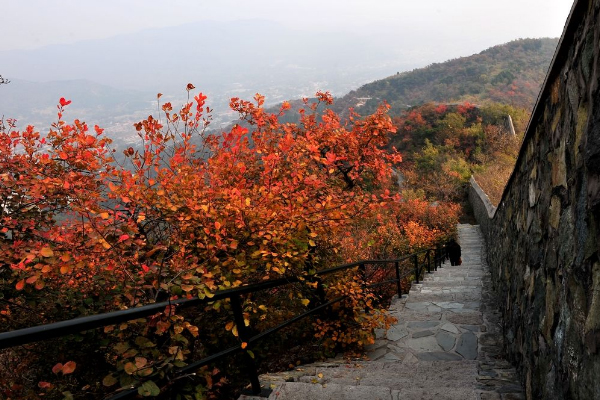 北京香山紅葉什么時候看最合適 2019北京香山紅葉節(jié)的時間+門票優(yōu)惠