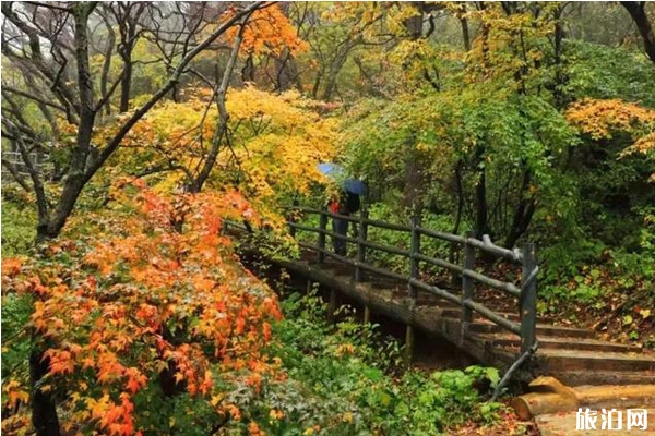 2019年堯山紅葉節(jié)時間+門票+地址+活動介紹