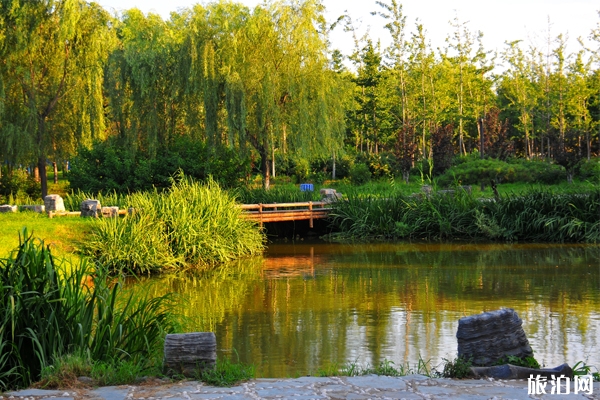 秋天去秋天去大運河森林公園好看嗎 大運河森林公園門票+地點+交通