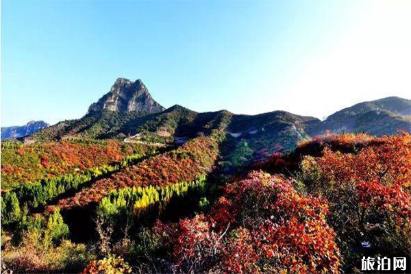 洛陽賞秋景區優惠信息匯總 荊紫仙山+黛眉山+青要山