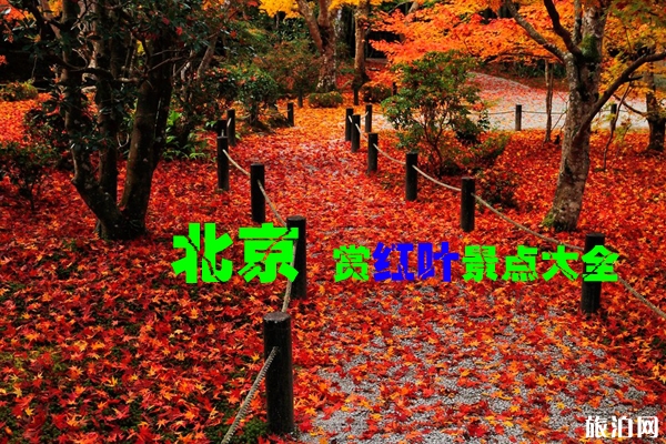 2019北京秋天賞紅葉的地方有哪些