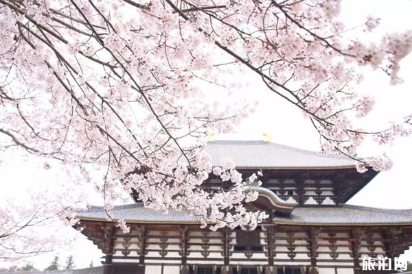 奈良公園里面有幾個寺 奈良公園的寺廟叫什么名字