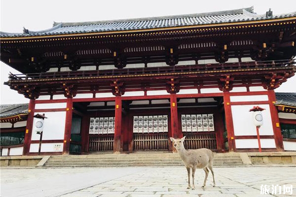 奈良公園游玩路線+景點介紹