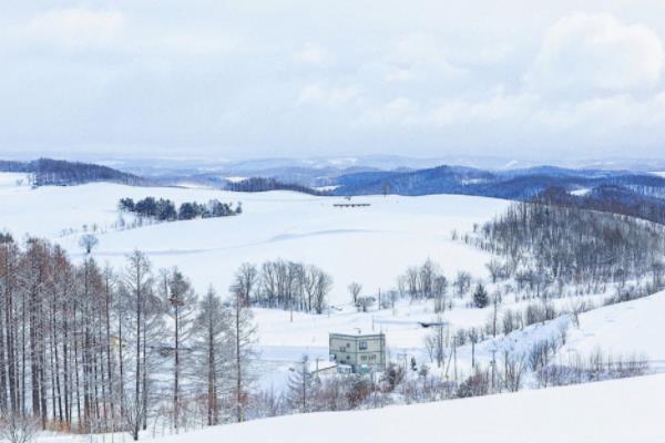 北海道美瑛游玩攻略 北海道美瑛拍照指南