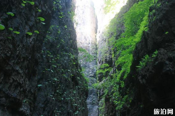 野三坡百里峽景區