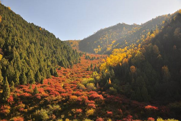 互助北山國家森林公園景區介紹