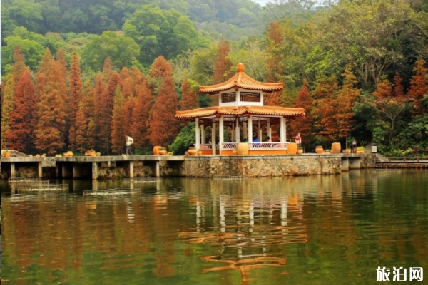 深圳仙湖植物園