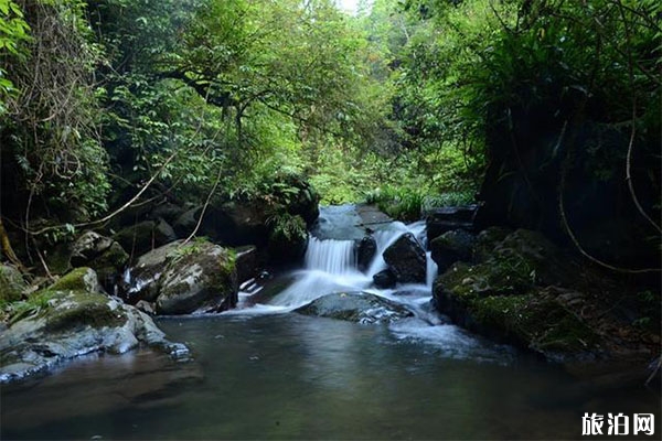 贛州陽嶺國家森林公園