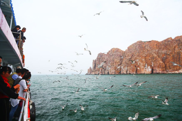 煙臺萬鳥島