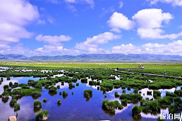 若爾蓋花湖風景區