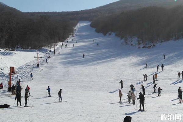 南京周邊滑雪去哪里 南京周邊滑雪場推薦